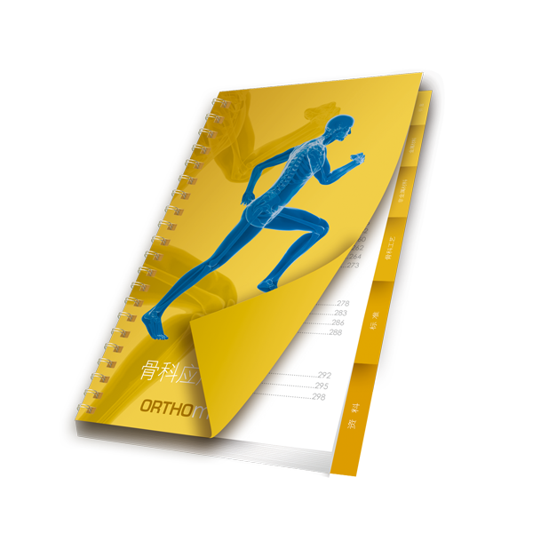 Image of the book 2017